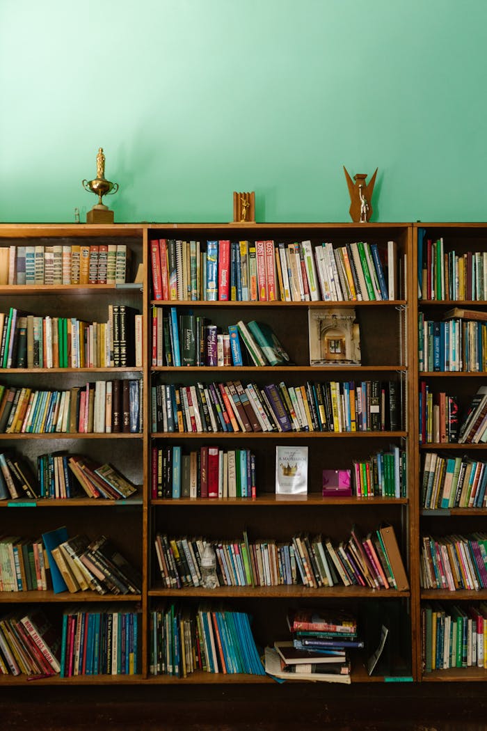 Neatly organized bookshelves with diverse books and decor items in a cozy library setting.