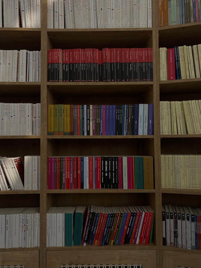A wooden bookshelf filled with various books arranged by color, creating a visually appealing pattern.